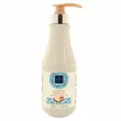 Famirel Shampoo Argan Oil 500ml