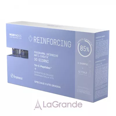 Framesi Morphosis Reinforcing Kit ���� ����� �������� �������