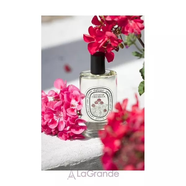 Diptyque Geranium Odorata ��������� ����