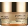 Academie Youth Repair Renewing Moisturizing Mask Instant Radiance ����������������� ����������� ����� ��� ����