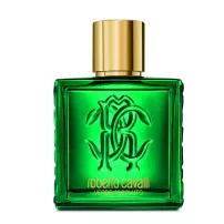 Roberto Cavalli Uomo Verde Assoluto ��������������� ���� (������)