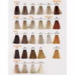 WIL�NA Hair Color Cream ����� ����-����� � �������� ������� �� ���������