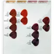Atricos Stylish Hair Color ������������ ������� �� ������� ������ �����