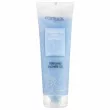 Fortesse Hyaluronic Daily Comfort Perfumed Shower Gel 270ml