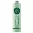 BBcos Green Care Essence Anti-Dandruff Shampoo ������� ������ �������