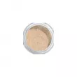 Artdeco Translucent Loose Powder ����������� �������� ����� � ����������-������� ������� (refill)