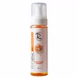 Renew Vitamin C Gentle Foam 220ml
