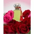 Les Parfums de Rosine Rose d'Amour  