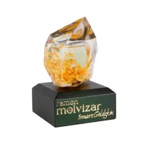 Ramon Molvizar Smart Goldskin ��������������� ���� (TRY)