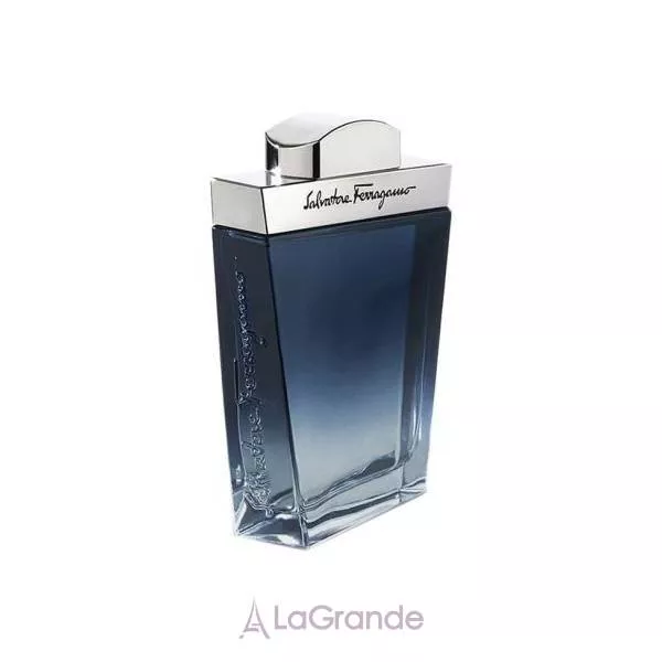 Salvatore Ferragamo Subtil Pour Homme ��������� ���� (������)