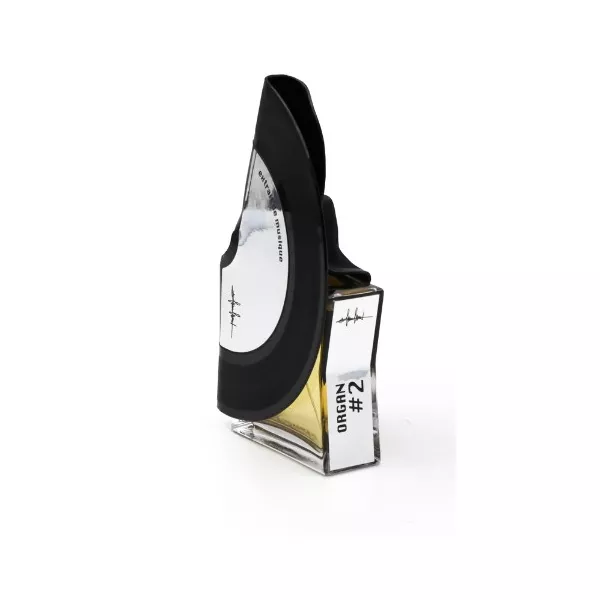 Filippo Sorcinelli Organ #2 ����