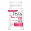 Kyolic Aged Garlic Extract, Stress & Fatigue Relief ����������� ������� 