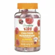 Lifeable Calcium Magnesium + Vitamin D3 Gummies ����������� ������� ��� ����� 