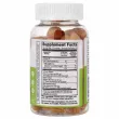 Lifeable Kids Turmeric Curcumin with Ginger & Black Pepper Extract Gummies ĳ������ ������� ��� ���� 