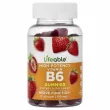 Lifeable Vitamin B6 Adult Gummies ĳ������ ������� 