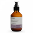Insight Damaged Hair Restructurizing Spray 100ml