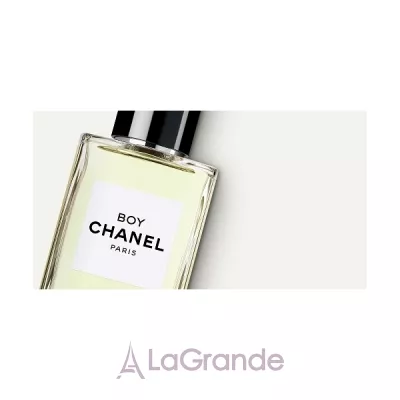 Chanel Les Exclusifs de Chanel Boy  