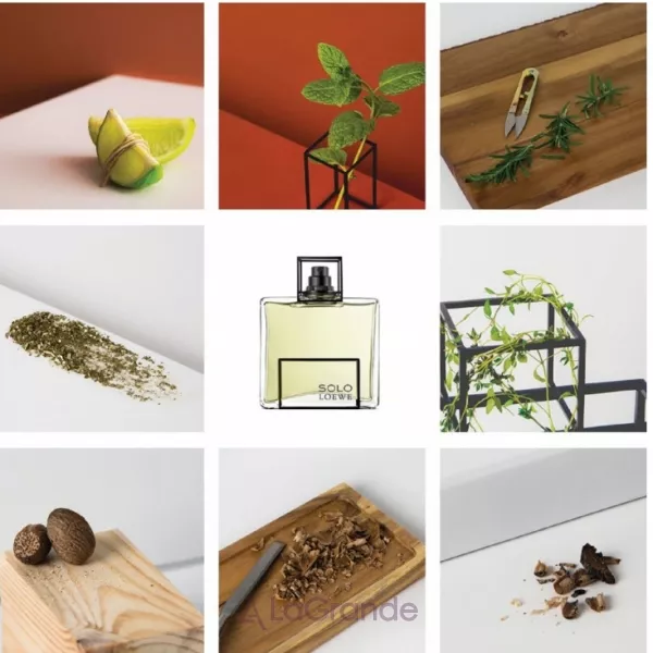 Loewe Solo Loewe Esencial ��������� ����