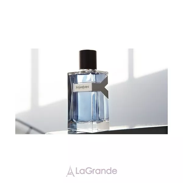 Yves Saint Laurent Y �������� ����