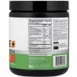 Optimum Nutrition Creatine+ Orange Passionfruit ������� 