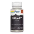 Solaray Shilajit 500 mg ����������� ������� 