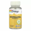 Solaray Akkermansia Postbiotic 10 Billion TFU ���������� ��� ��������� ���������, 10 ���� TFU