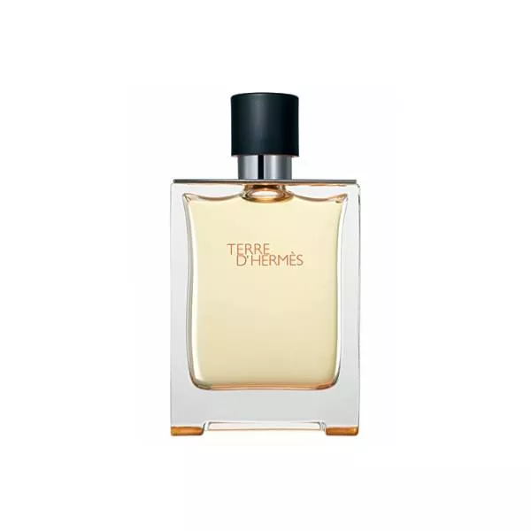 ������ Hermes Terre D`Hermes ��������� ����