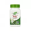 Nature's Way Whole Thallus Kelp 100pcs