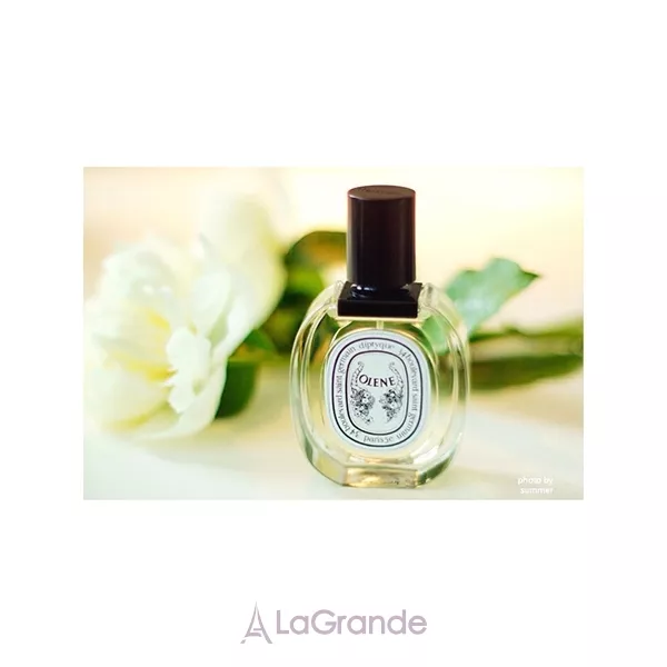 Diptyque Olene ��������� ����
