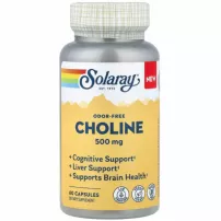 Solaray Choline 500mg ĳ������ ������� "����" 500 ��