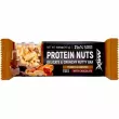 Amix Protein Nuts Delicate & Crunchy Nutty Bar Peanut & Caramel 40g