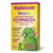 Natural Factors BigFriends Echinacea Alcohol-Free Fresh Herb Tincture for Kids 50ml