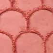 Catrice Soft Blur Powder Blush ������ ���'��� � ����������� �������