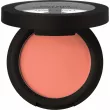 Catrice Soft Blur Powder Blush ������ ���'��� � ����������� �������