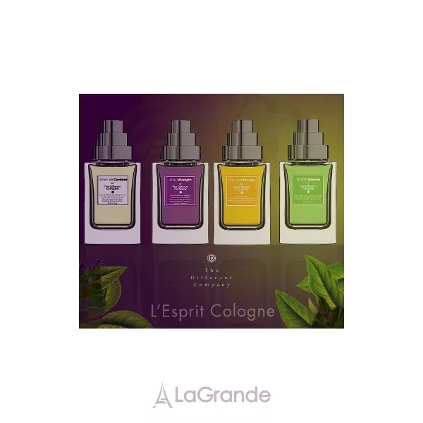 The Different Company After Midnight �������� ����