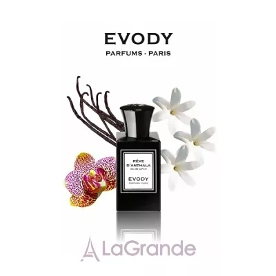 Evody Parfums Reve d'Anthala  