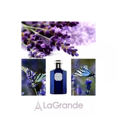 Lorenzo Villoresi Wild Lavender   ()
