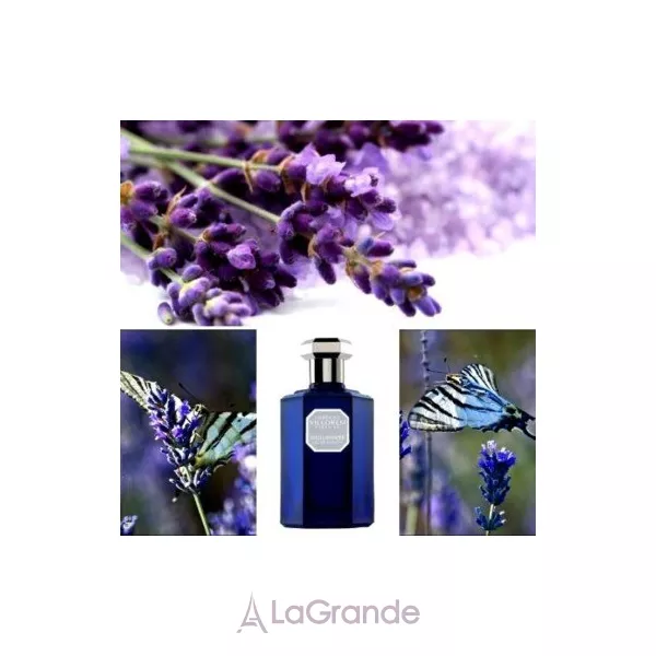 Lorenzo Villoresi Wild Lavender ��������� ���� (������)