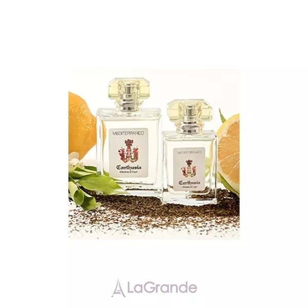 Carthusia Mediterraneo ����