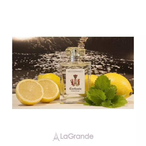 Carthusia Mediterraneo ����