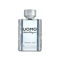 Salvatore Ferragamo Uomo Casual Life ��������� ���� (������)