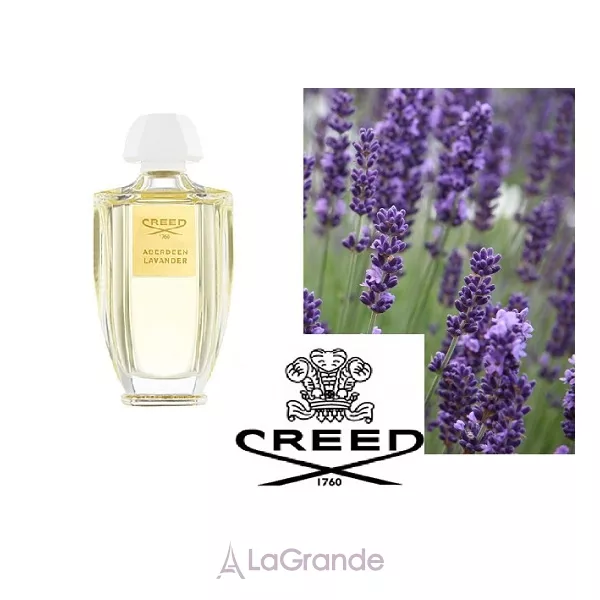 Creed Aberdeen Lavander ����������� ���� (������)