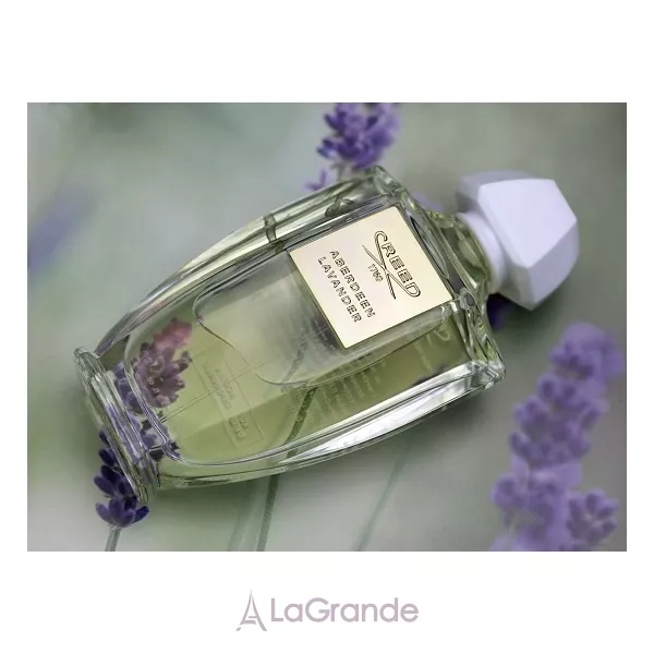 Creed Aberdeen Lavander ����������� ���� (������)