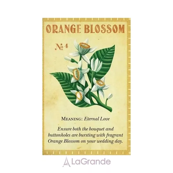 Penhaligon`s Anthology Orange Blossom ��������� ���� (������)