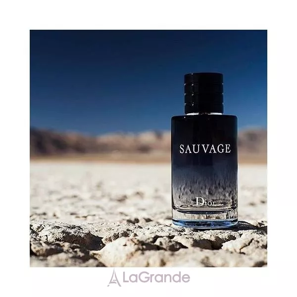Christian Dior Sauvage 2015 ����� (��������� ���� 100 �� + ��������� ���� 7.5 ��)