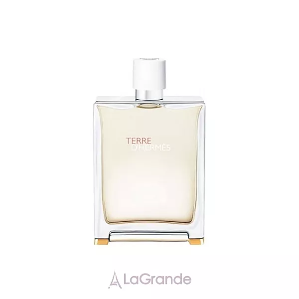 Hermes Terre d'Hermes Eau Tres Fraiche ����� (��������� ���� 125 �� + ���� ��� ���� 80 ��)