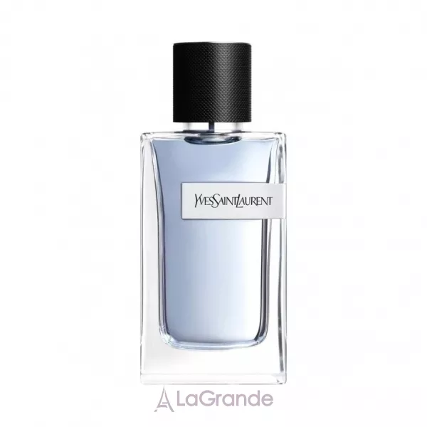 Yves Saint Laurent Y ��������� ���� (������)