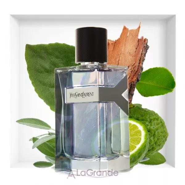 Yves Saint Laurent Y ��������� ���� (������)