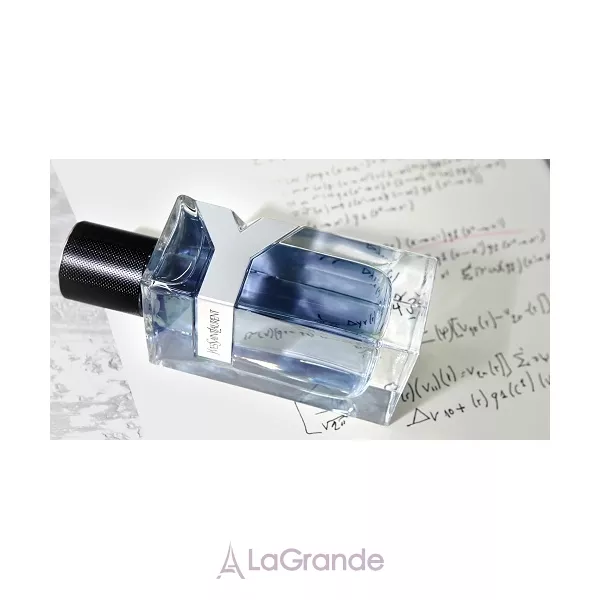 Yves Saint Laurent Y ��������� ���� (������)