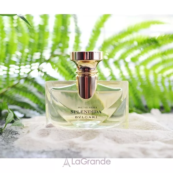 Bvlgari Splendida Iris d`Or ��������������� ���� (������)